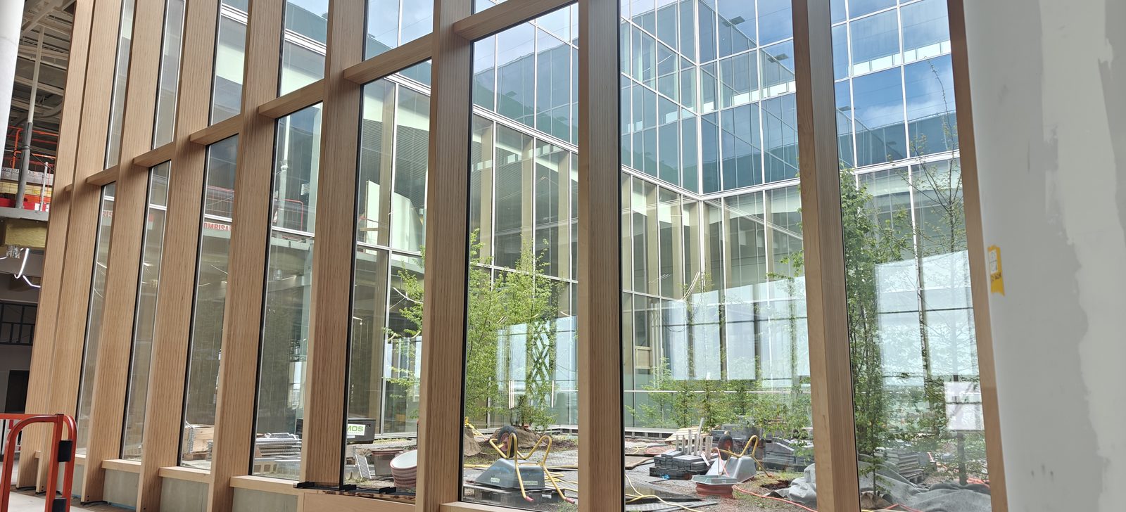 Atrium with timber-mullion curtain wall